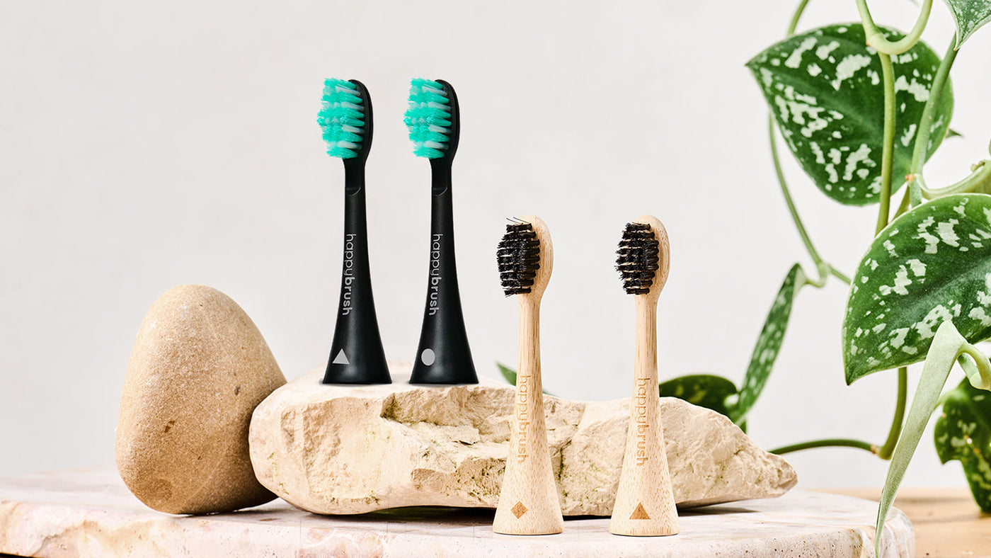 Têtes de brosse