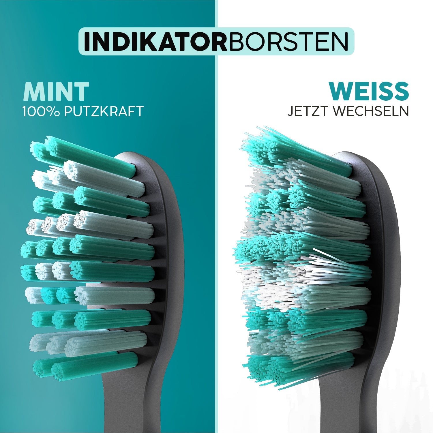 Têtes de brosse Eco Vibe 3+ | Black-Mint