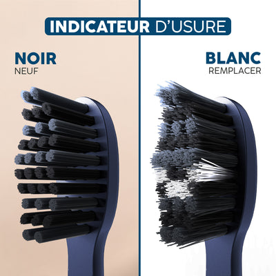 Têtes de brosse Sonique V3+ | Ocean 6x