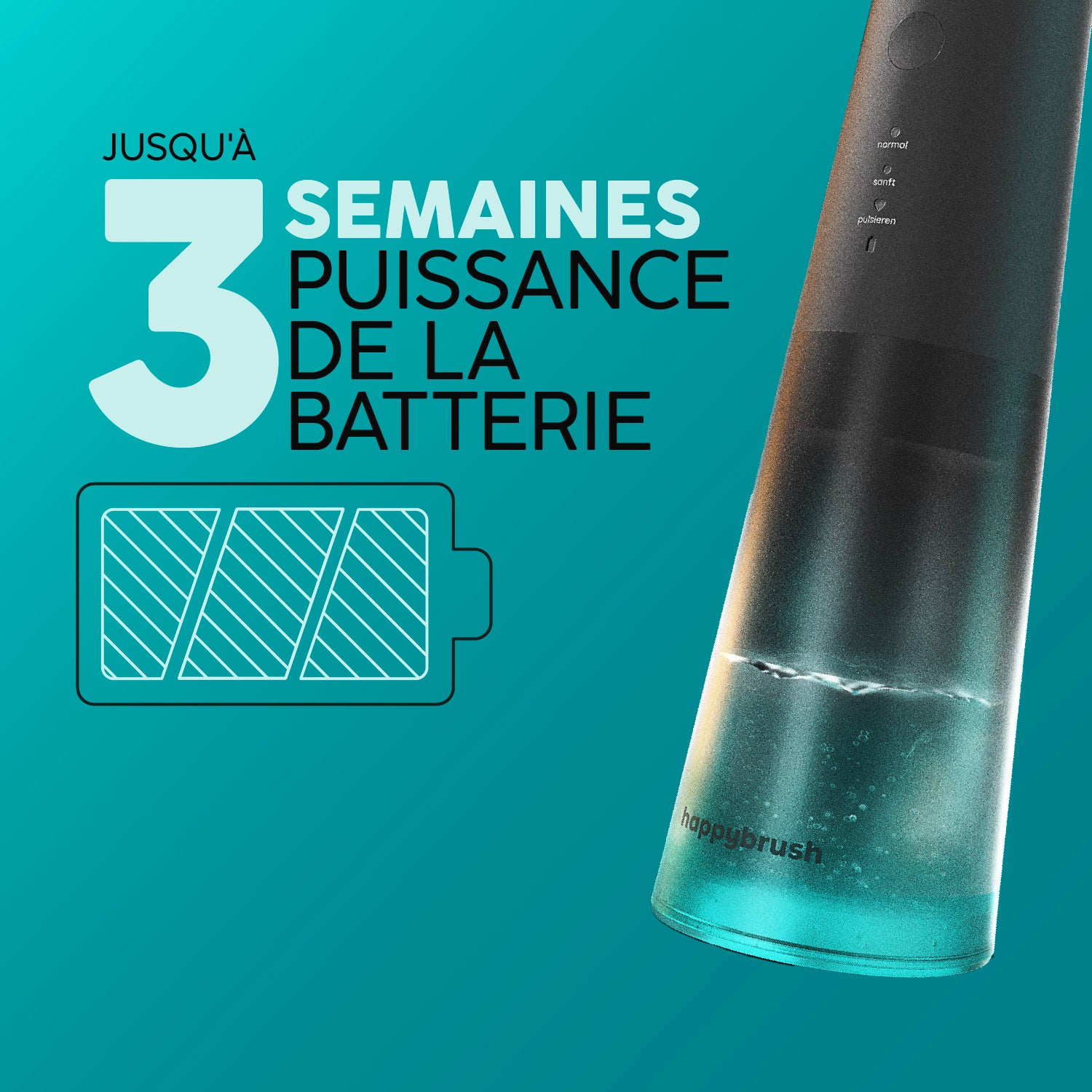 Jet Dentaire Hydropulseur & Canules | Eco Flow | Allblack